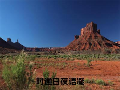 时逾白夜语凝（时逾白夜语凝全文在线阅读）-时逾白夜语凝（时逾白夜语凝）免费阅读无删减完整版
