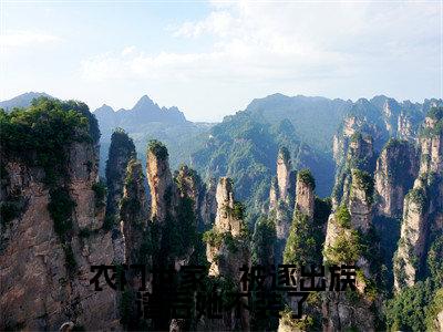 （陈岁岁）农门世家，被逐出族谱后她不装了小说全文免费_（陈岁岁）最新章节列表笔趣阁