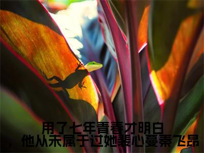 用了七年青春才明白，他从未属于过她裴心蔓秦飞昂（裴心蔓秦飞昂）全文免费阅读无弹窗大结局_用了七年青春才明白，他从未属于过她裴心蔓秦飞昂最新章节列表