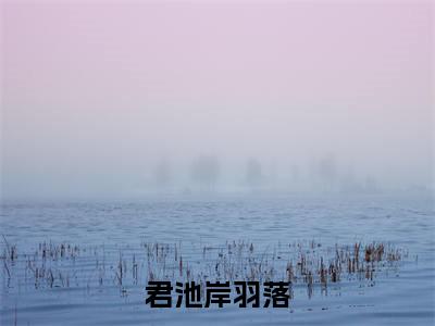 君池岸羽落（羽落君池岸）全文免费阅读大结局_羽落君池岸免费在线阅读无删减