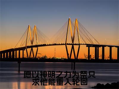 愿以神明之力为祭只求他能重入轮回全文小说（朝曦司重光）全文阅读-愿以神明之力为祭只求他能重入轮回在线小说免费阅读