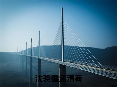沈骁霆孟清荷（孟清荷沈骁霆）全文免费阅读无弹窗大结局_沈骁霆孟清荷免费阅读无弹窗