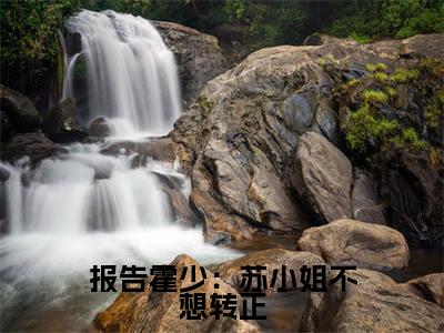 报告霍少：苏小姐不想转正全本资源免费阅读结局无删节-霍思洲苏南小说全文阅读无弹窗（报告霍少：苏小姐不想转正）