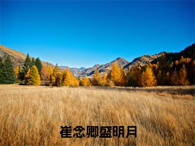 盛明月崔念卿崔念卿盛明月免费小说-崔念卿盛明月（盛明月崔念卿）已更新最新章节