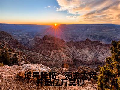 诡异降临：氪金大佬开局亿万冥钞全文免费阅读无弹窗大结局，林星洛小说精彩免费试读
