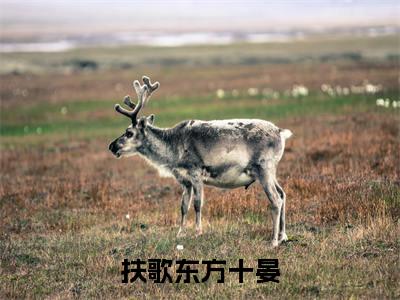 扶歌东方十晏（东方十晏扶歌）小说免费无弹窗大结局-扶歌东方十晏小说全文完整版阅读