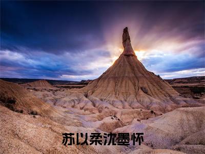 沈墨怀苏以柔（苏以柔沈墨怀）高质量小说免费阅读-主角是沈墨怀苏以柔的小说叫什么名字（苏以柔沈墨怀）