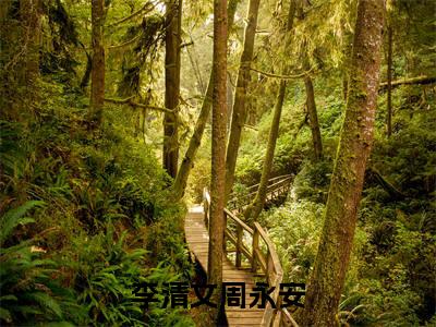 周永安李清文抖音新书热荐-李清文周永安全文在线赏析（周永安李清文）