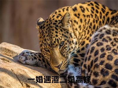 热门小说江夜卿全文免费阅读无弹窗大结局-一婚遇渣二婚高嫁全文无弹窗免费阅读大结局