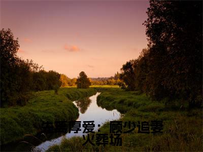 先离厚爱：顾少追妻火葬场小说全文大结局-先离厚爱：顾少追妻火葬场（秦杳顾砚梁）小说全文免费阅读