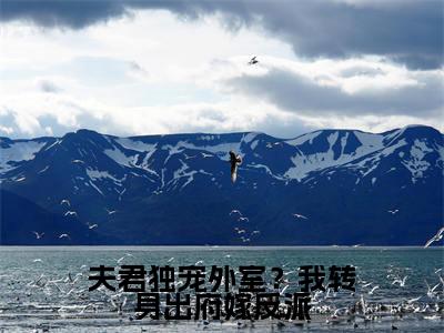 夫君独宠外室？我转身出府嫁反派（谢锦云）全文小说免费阅读_（谢锦云）夫君独宠外室？我转身出府嫁反派最新章节列表