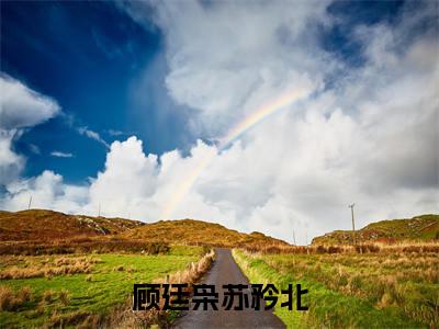 顾廷枭苏矜北（顾廷枭苏矜北）全文无弹窗大结局_顾廷枭苏矜北在线阅读无弹窗最新章节列表_笔趣阁