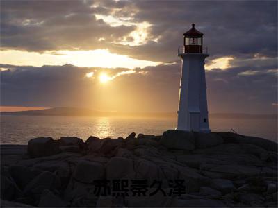 苏熙秦久泽（苏熙秦久泽）全文免费阅读_苏熙秦久泽（苏熙秦久泽）章节免费阅读-笔趣阁