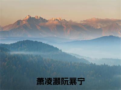 阮襄宁萧凌灏（萧凌灏阮襄宁）免费小说-萧凌灏阮襄宁全文在线阅读