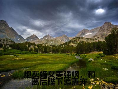 楼苏叶大结局免费阅读炮灰嫡女美强飒，和离后陛下追着宠最新热点小说