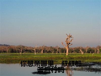 洛雨甜宋名扬你想亲哪里，叔叔都答应行吗免费阅读无弹窗小说洛雨甜宋名扬最新章节