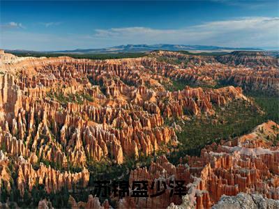 苏锦盛少泽（盛少泽苏锦）小说全文免费阅读无弹窗_（盛少泽苏锦全文阅读）苏锦盛少泽免费阅读大结局