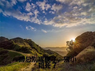 傅泽宋妍清（傅总别嘴硬了，宋小姐死了）全文免费阅读无弹窗大结局_傅泽宋妍清（傅总别嘴硬了，宋小姐死了小说免费阅读）_笔趣阁