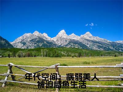 年代空间：病弱美人被迫咸鱼生活全文免费阅读无弹窗大结局-苏婉全文在线阅读
