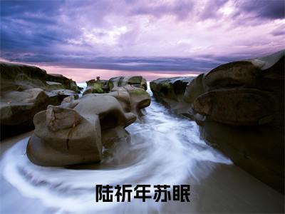 陆祈年苏眠（苏眠陆祈年）全文免费阅读大结局_陆祈年苏眠最新章节列表_笔趣阁