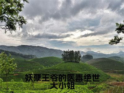 云洛晚小说在线阅读-妖孽王爷的医毒绝世大小姐小说最新章节阅读