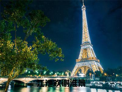 谢淮景江池欢小说免费阅读-江池欢谢淮景言情小说谢淮景江池欢讲的是什么