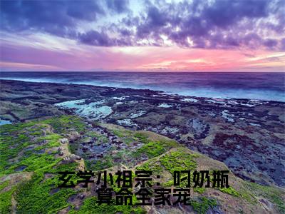玄学小祖宗：叼奶瓶算命全家宠全文免费阅读无弹窗大结局-玄学小祖宗：叼奶瓶算命全家宠沈知音全文全章节免费阅读