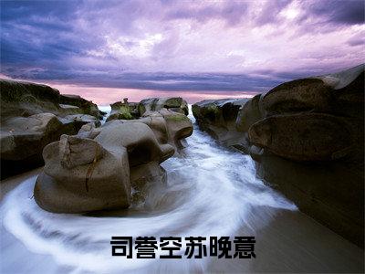 小说司誊空苏晚意免费在线阅读-小说主角叫司誊空苏晚意的小说完整版免费读全文