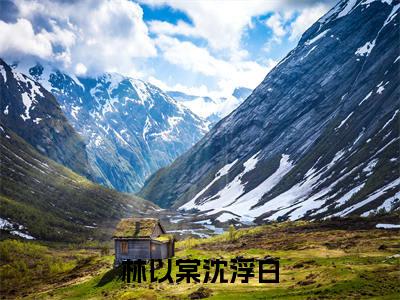 林以棠沈浮白（林以棠沈浮白）最火小说全文-（林以棠沈浮白）林以棠沈浮白小说完整版免费阅读