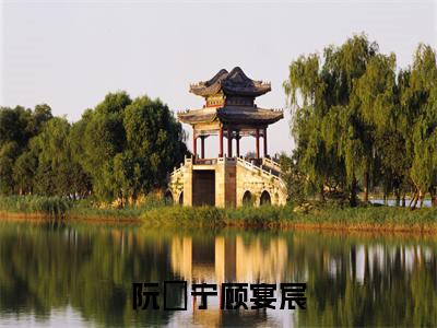 阮玥宁顾宴宸顾宴宸阮玥宁小说（顾宴宸阮玥宁）全文免费阅读无弹窗大结局_顾宴宸阮玥宁小说最新章节列表_笔趣阁