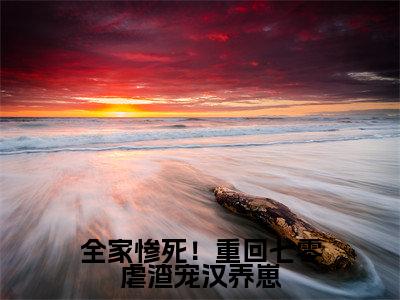 全家惨死！重回七零虐渣宠汉养崽全集章节小说免费阅读完整版（苏提魏百川）-苏提魏百川小说免费阅读