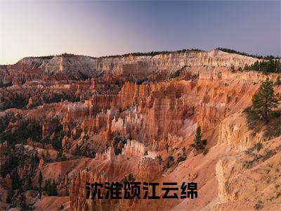 沈淮颂江云绵全文免费阅读无弹窗大结局_（沈淮颂江云绵免费阅读）沈淮颂江云绵最新章节在线阅读_笔趣阁