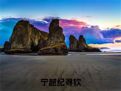 宁越纪寻钦（宁越纪寻钦）全文免费阅读无弹窗大结局_宁越纪寻钦（宁越纪寻钦）最新章节免费阅读