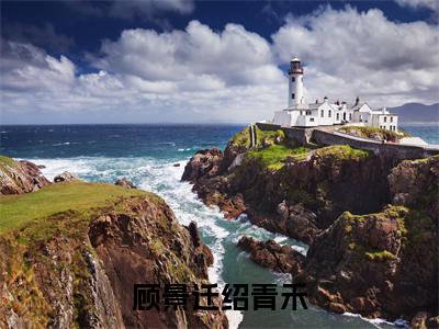 顾景迁绍青禾（绍青禾顾景迁）多人推荐-绍青禾顾景迁顾景迁绍青禾好看的小说完整版全文