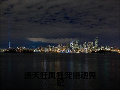 夜云（完整版）小说推荐-夜云热文小说诛天狂凤独宠摄魂鬼妃免费阅读全文