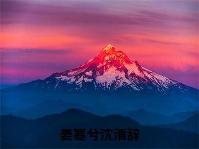 小说沈清辞姜寒兮全文免费阅读无弹窗大结局-姜寒兮沈清辞在线阅读