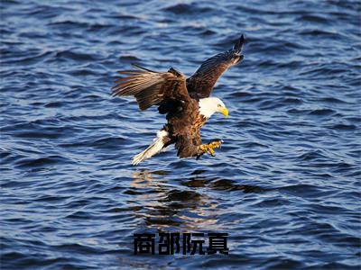 商邵阮真（商邵阮真）全文免费阅读无弹窗大结局_商邵阮真免费最新章节列表_笔趣阁（商邵阮真）