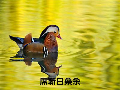 小说席靳白桑余免费在线阅读-小说主角叫席靳白桑余的小说完整版免费读全文