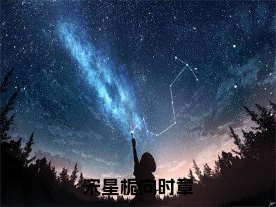 宋星栀向时章全文免费阅读_（向时章宋星栀免费阅读无弹窗）宋星栀向时章高赞小说阅读