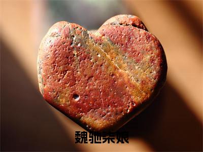 魏驰柒娘《柒娘魏驰小说免费阅读》完整-魏驰柒娘小说（柒娘魏驰）全文最新阅读