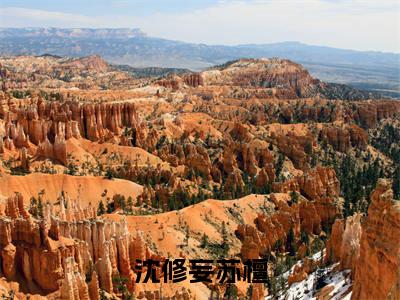 （热推新书）《沈修妄苏檀》苏檀沈修妄-热推苏檀沈修妄无弹窗阅读沈修妄苏檀在线阅读