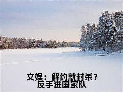 苏烨小说（文娱：解约就封杀？反手进国家队）全文免费阅读无弹窗大结局_文娱：解约就封杀？反手进国家队小说最新章节_笔趣阁（苏烨）