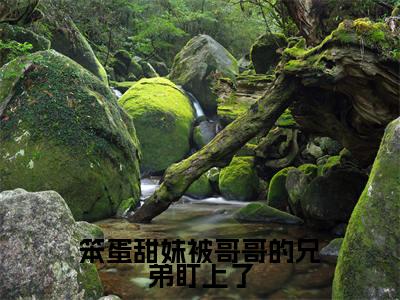 （全文）+（番外）谢观澜殷书漾小说免费阅读-笨蛋甜妹被哥哥的兄弟盯上了谢观澜殷书漾小说在哪里可以看