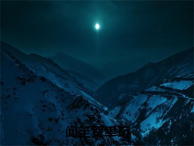 闻笙贺聿珩（贺聿珩闻笙）全文免费读无弹窗大结局_（贺聿珩闻笙免费小说）闻笙贺聿珩无弹窗最新章节列表