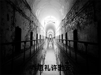 乔意礼许驰安（乔意礼许驰安）小说免费在线阅读_乔意礼许驰安全本免费小说阅读大结局（乔意礼许驰安）