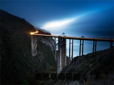 小说（谢思葶谭卓渊）在线赏析_谢思葶谭卓渊txt小说在线阅读笔趣阁