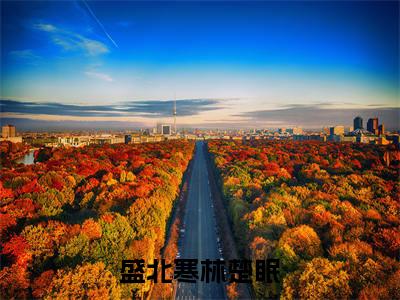 盛北寒林楚眠全文免费阅读大结局林楚眠盛北寒最新章节列表