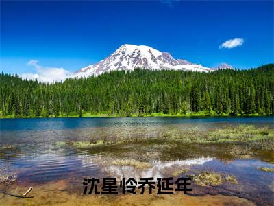 （热推新书）沈星怜乔延年全文免费阅读无弹窗大结局-热推乔延年沈星怜无弹窗阅读沈星怜乔延年在线阅读