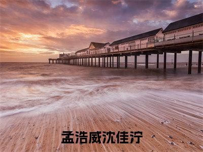 孟浩威沈佳泞免费阅读-（孟浩威沈佳泞）全文免费阅读无弹窗大结局（沈佳泞孟浩威）最新章节列表_笔趣阁