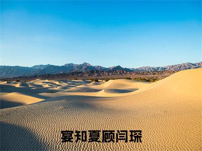 宴知夏顾闫琛小说顾闫琛宴知夏最新更新—顾闫琛宴知夏小说美文赏析